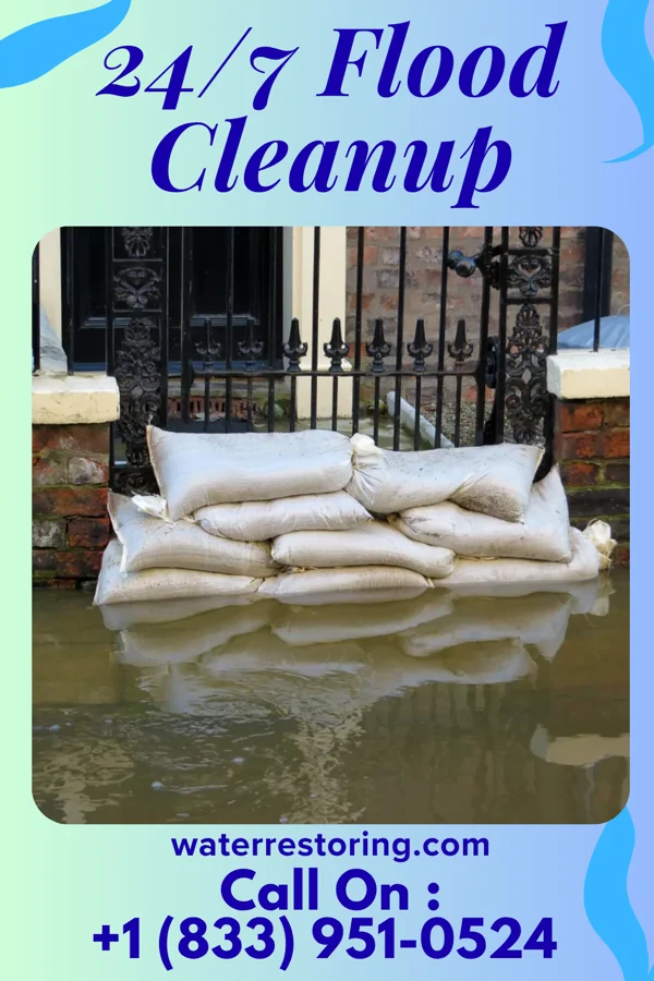 24/7 Flood Cleanup in Forreston, IL