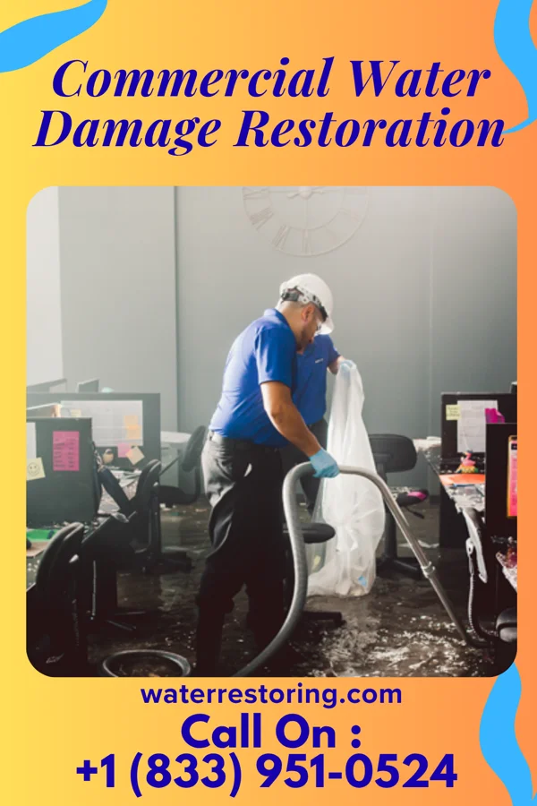 Commercial Water Damage Restoration in Forreston, IL