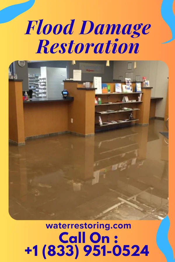 Flood Damage Restoration in Forreston, IL