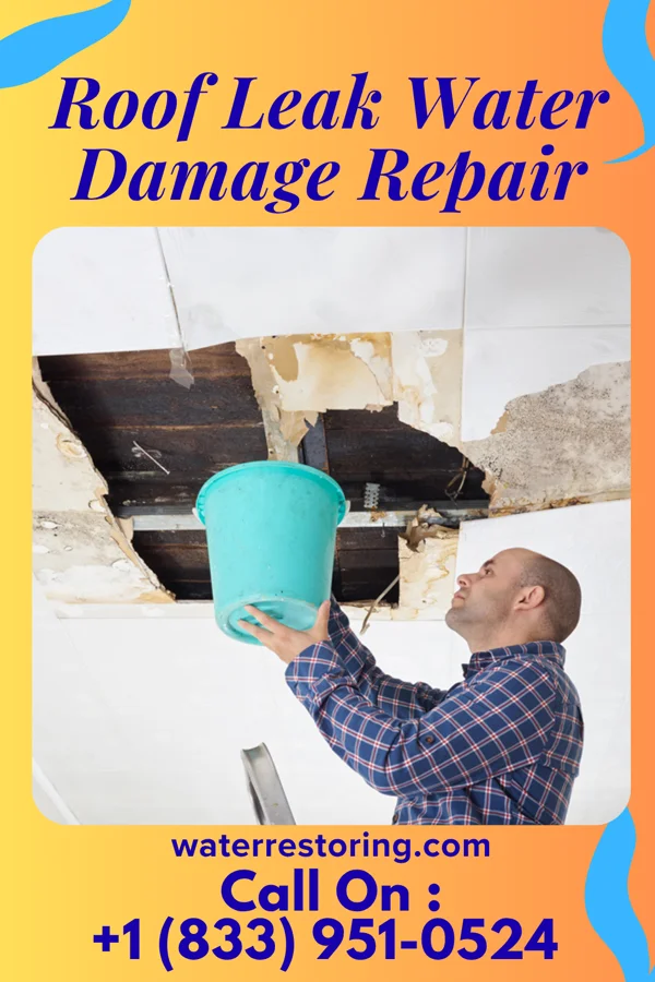 Roof Leak Water Damage Repair in Forreston, IL